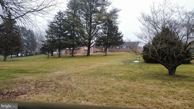 a huge green field with lots of trees