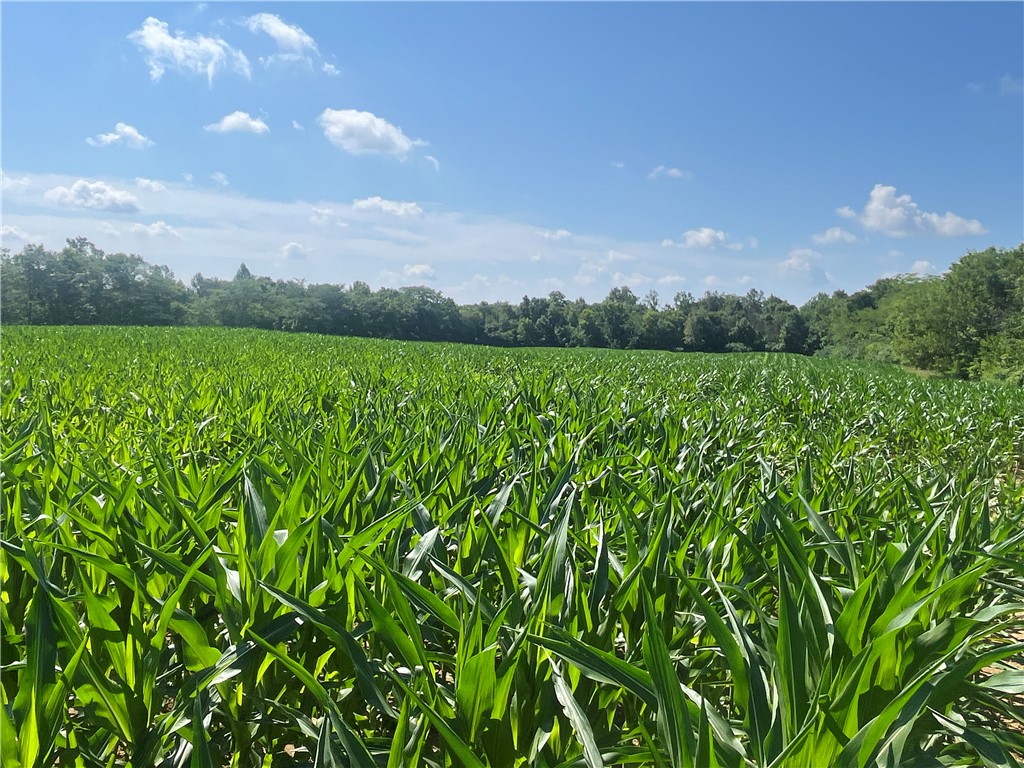 0 Stephen Young Road Camden, OH 45311 - Photo 20 of 57