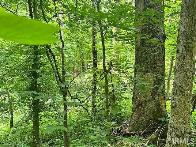 $19,250 | 0 Estes, Spencer, IN 47460