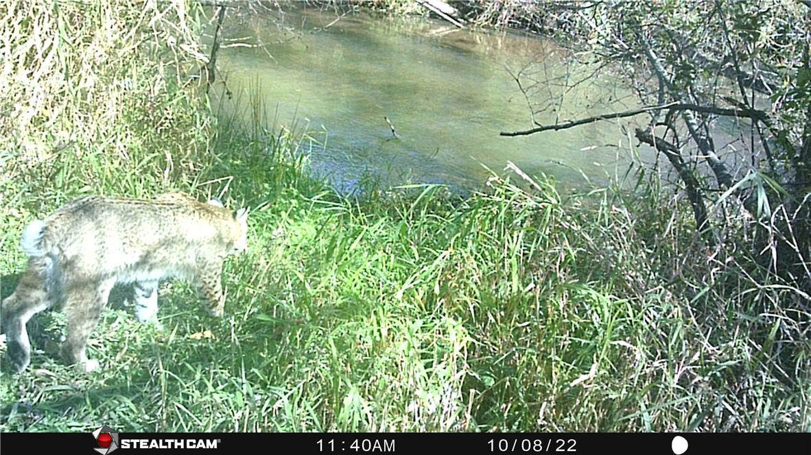 0 South Lowes Creek Road Eau Claire, WI 54701 - Photo 2 of 59