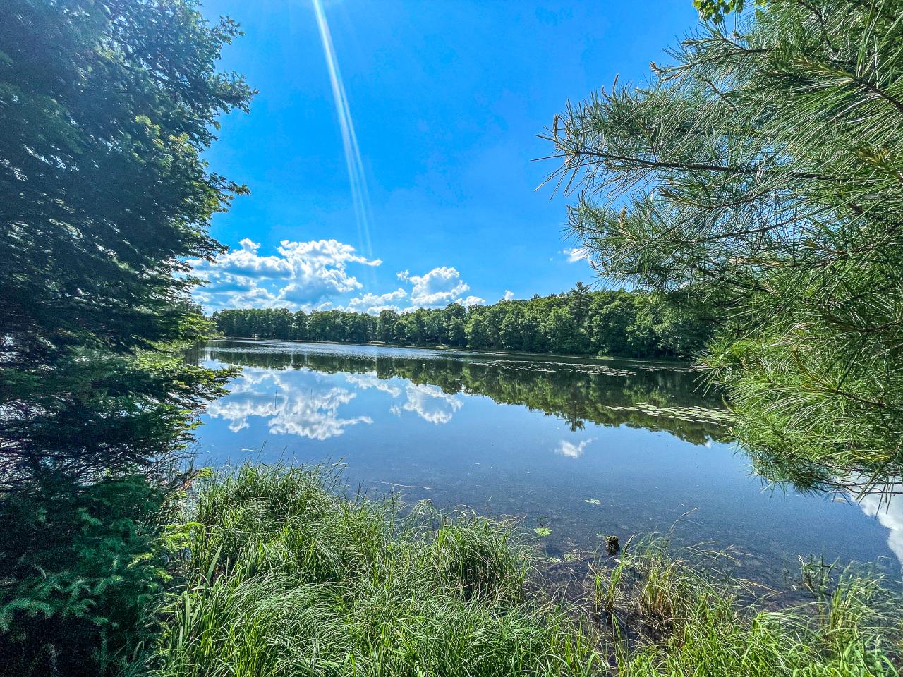 1207 South Little Bass Lake Road Eagle River, WI 54521 - Photo 5 of 47 Gallery Image 5