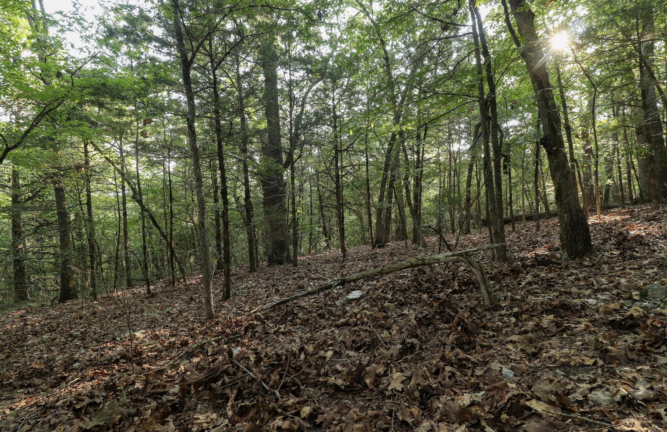 0 Quiet Acres Road Lampe, MO 65681 - Photo 26 of 56 Screenshot 2026-08-20 at 7.34.23AM