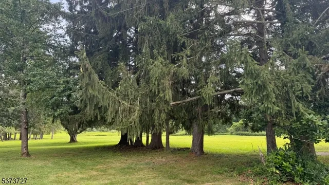 a view of yard with swimming pool