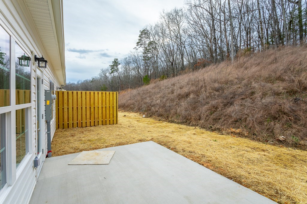 191 Andros Loop Dalton, GA 30721 - Photo 8 of 45