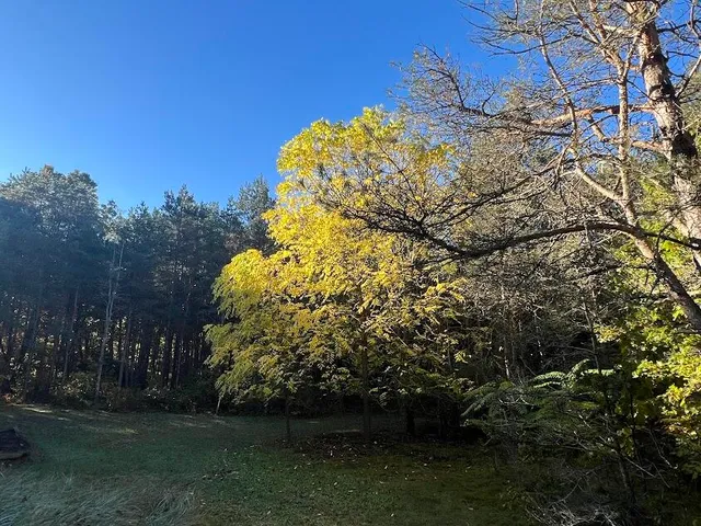 $320,000 | 3498 Lindeman Road, Manistee, MI 49660