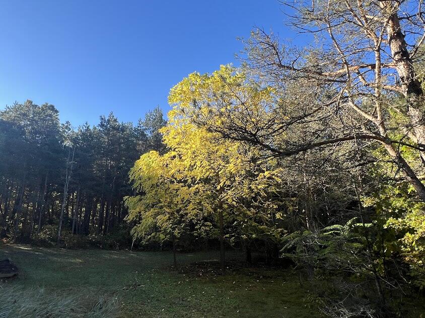 3498 Lindeman Road Manistee, MI 49660 - Photo 48 of 72 sk1