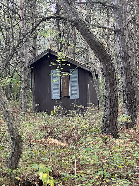 3498 Lindeman Road Manistee, MI 49660 - Photo 50 of 72 pk33