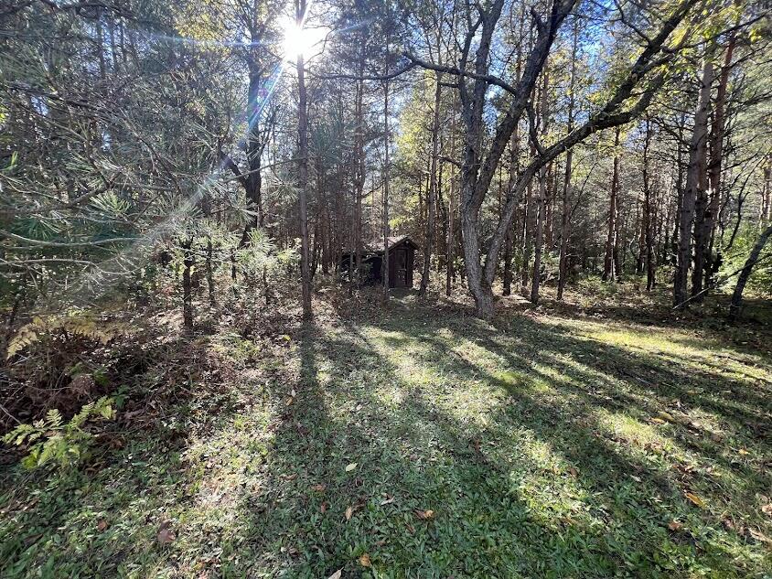 3498 Lindeman Road Manistee, MI 49660 - Photo 50 of 73 sk38