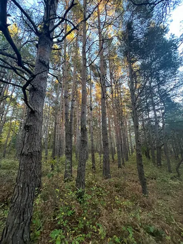 $320,000 | 3498 Lindeman Road, Manistee, MI 49660