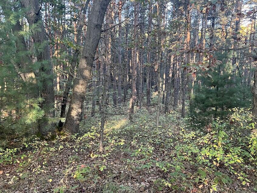 3498 Lindeman Road Manistee, MI 49660 - Photo 56 of 73 sk7