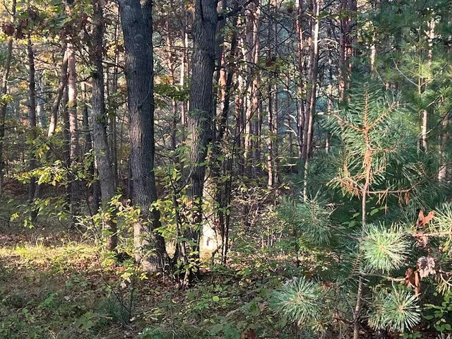 $320,000 | 3498 Lindeman Road, Manistee, MI 49660