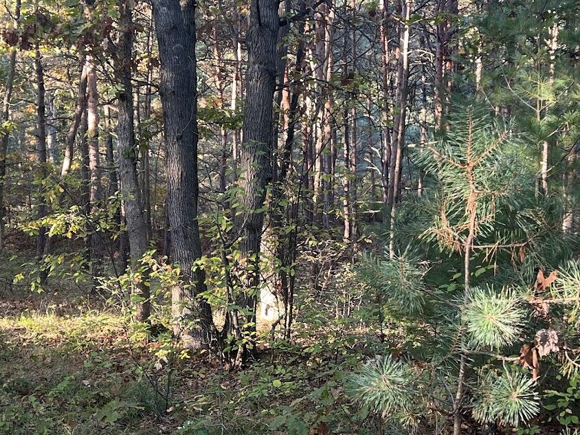 3498 Lindeman Road Manistee, MI 49660 - Photo 57 of 72 sk6