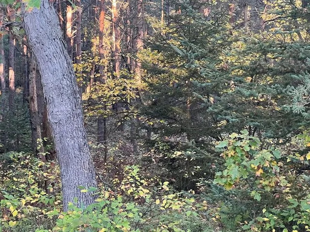 $320,000 | 3498 Lindeman Road, Manistee, MI 49660