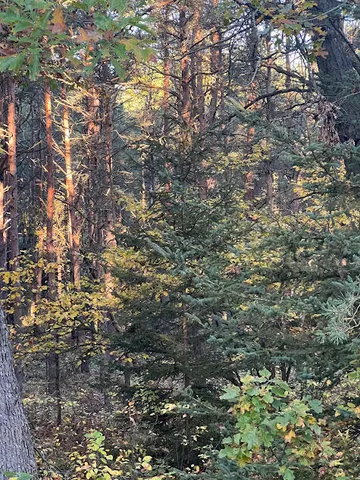 $320,000 | 3498 Lindeman Road, Manistee, MI 49660