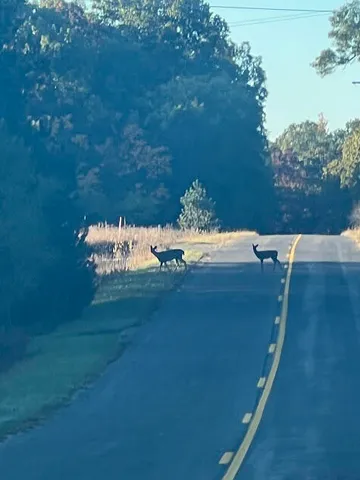 $320,000 | 3498 Lindeman Road, Manistee, MI 49660