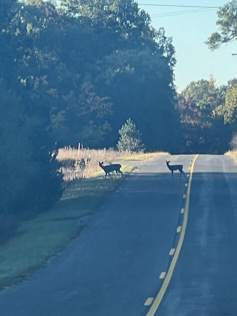 3498 Lindeman Road Manistee, MI 49660 - Photo 60 of 72 k2