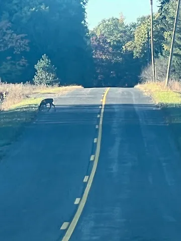 $320,000 | 3498 Lindeman Road, Manistee, MI 49660