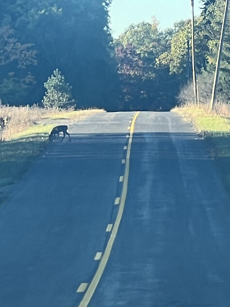 3498 Lindeman Road Manistee, MI 49660 - Photo 61 of 72 k8