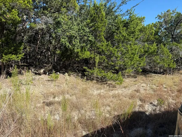 $49,500 | Lot 37 Golf Course Dr E, Spring Branch, TX 78070