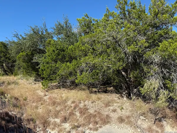 $49,500 | Lot 37 Golf Course Dr E, Spring Branch, TX 78070