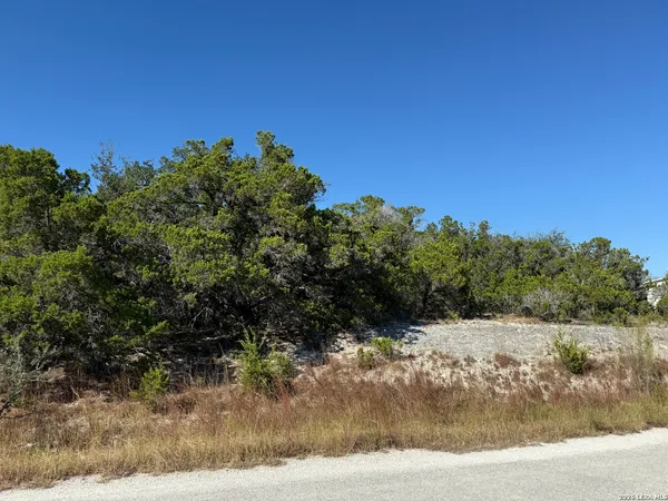$49,500 | Lot 37 Golf Course Dr E, Spring Branch, TX 78070