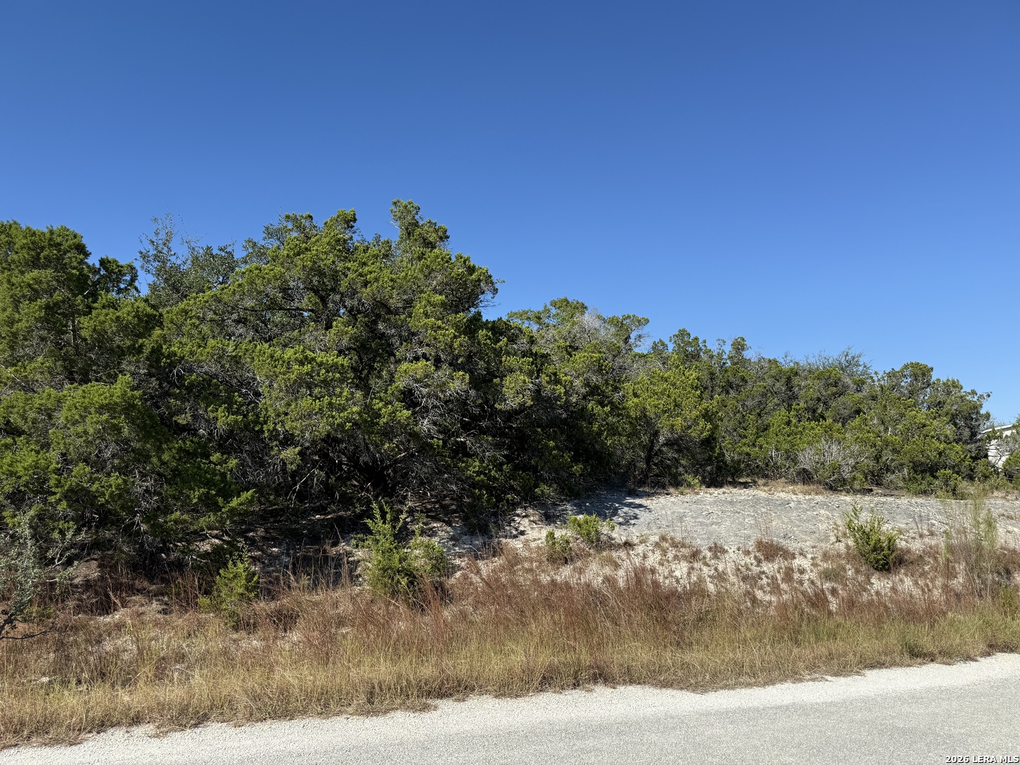 Lot 37 Golf Course Dr E Spring Branch, TX 78070 - Photo 4 of 5 a view of a yard