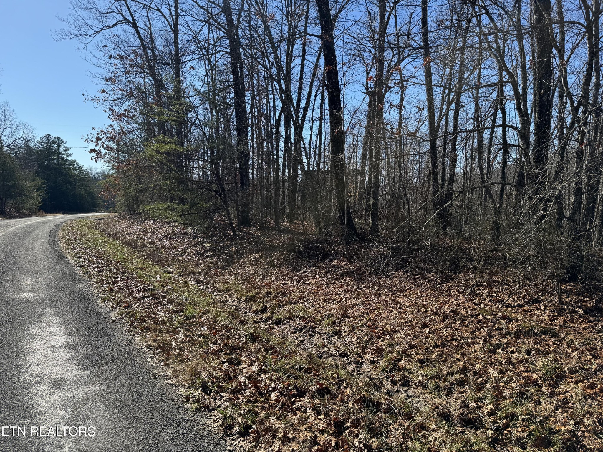 0 East Cove Road Monterey, TN 38574 - Photo 3 of 7 Gallery Image 3