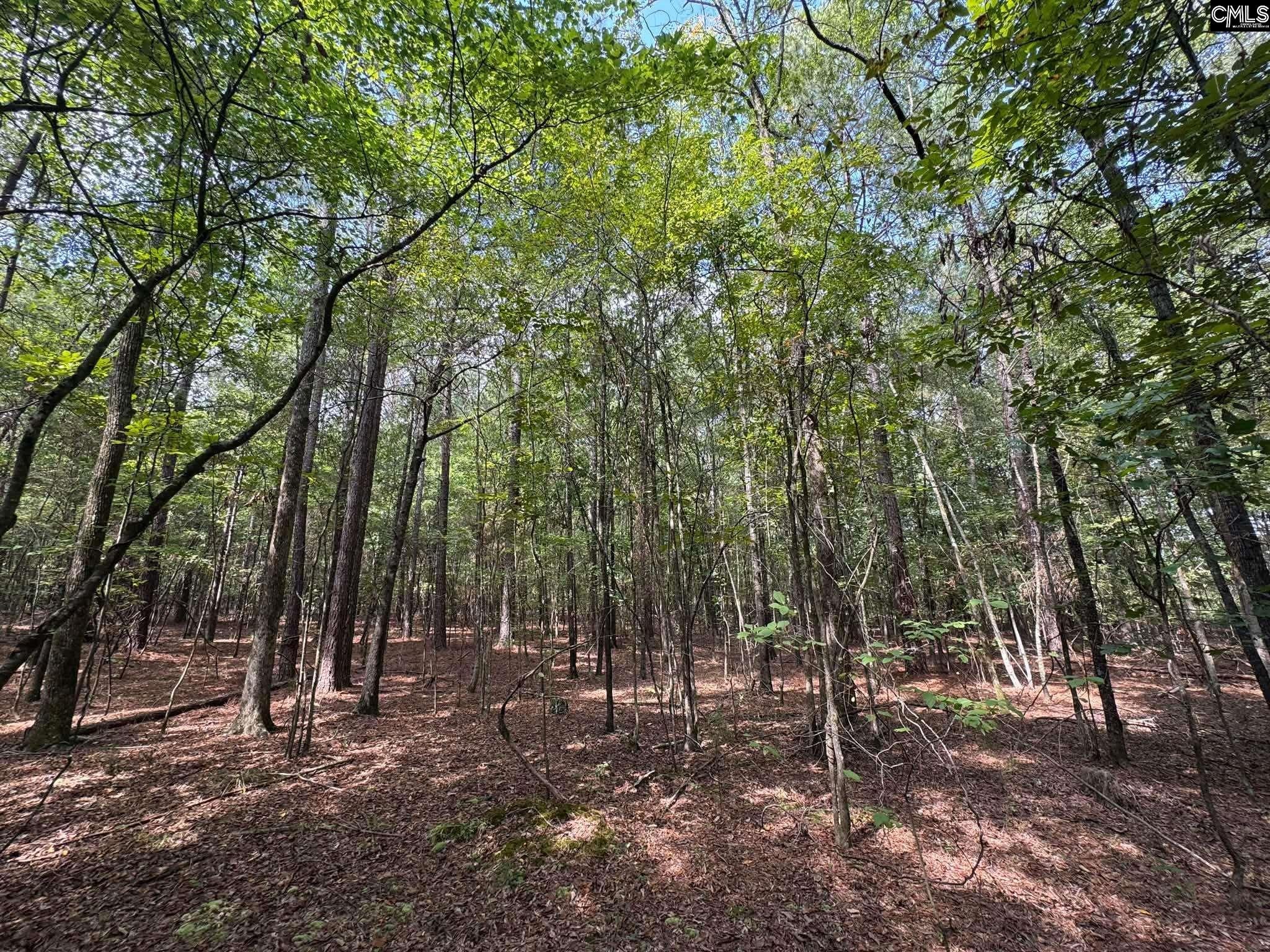 Pencreek Road Johnston, SC 29832 - Photo 24 of 59 Gallery Image 24