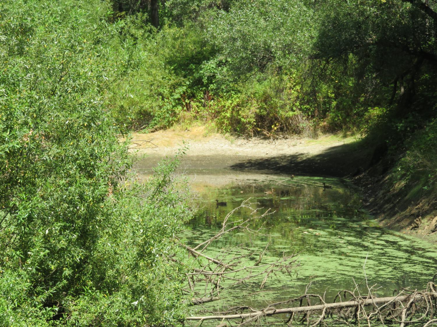 2563 Woodhouse Mine Road West Point, CA 95255 - Photo 23 of 49 a view of lake with green space