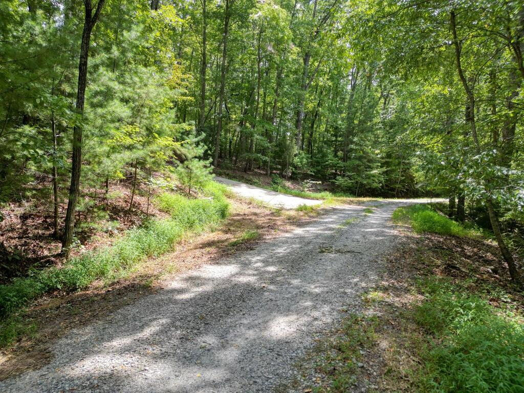 Lot 7 Noontootla Overlook Blue Ridge Blue Ridge, GA 30513 - Photo 4 of 11 Gallery Image 4
