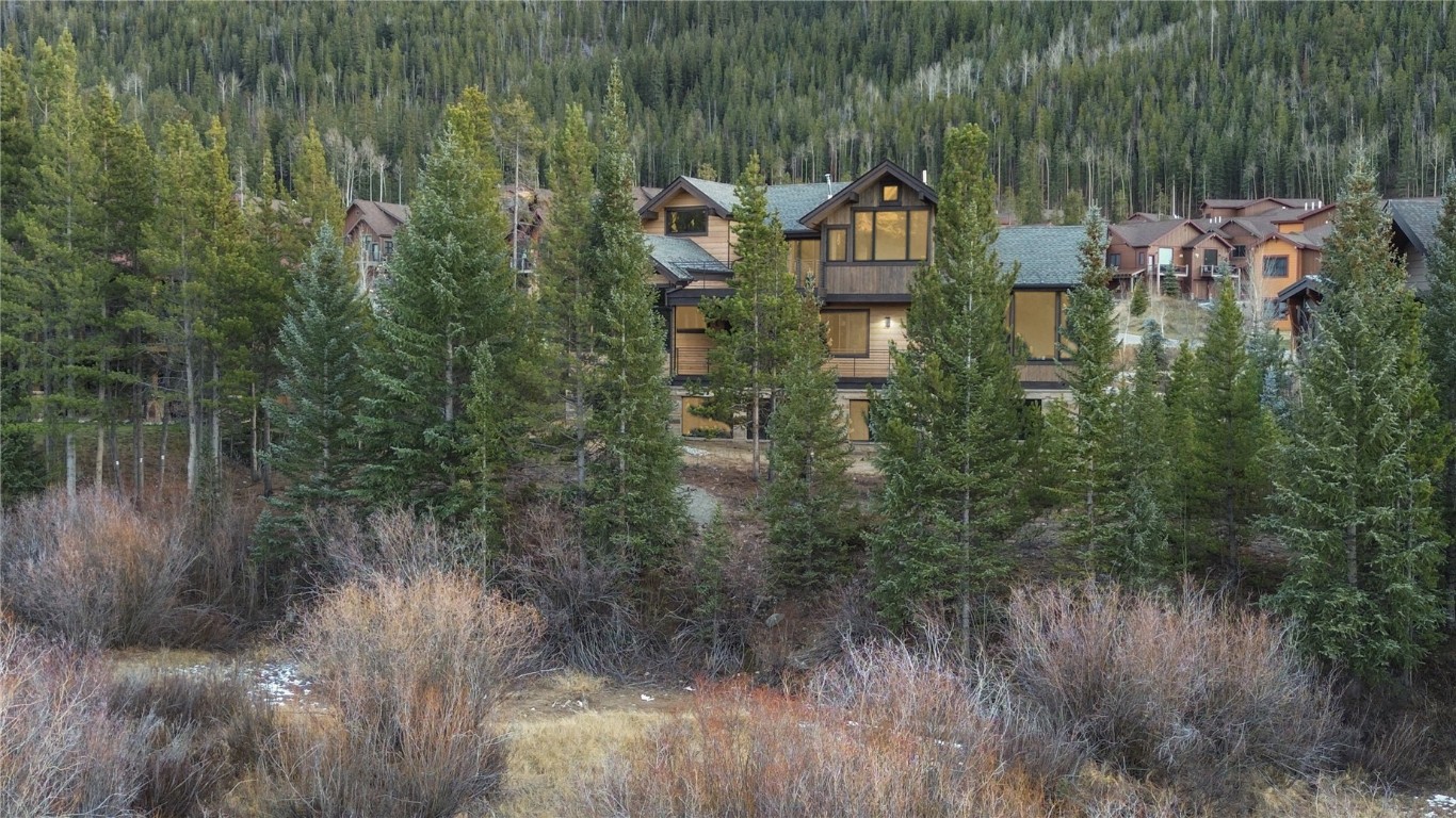 27 West Independence Road Keystone, CO 80435 - Photo 48 of 48 Aerial view of the back of the property's location featuring a forest and wetlands