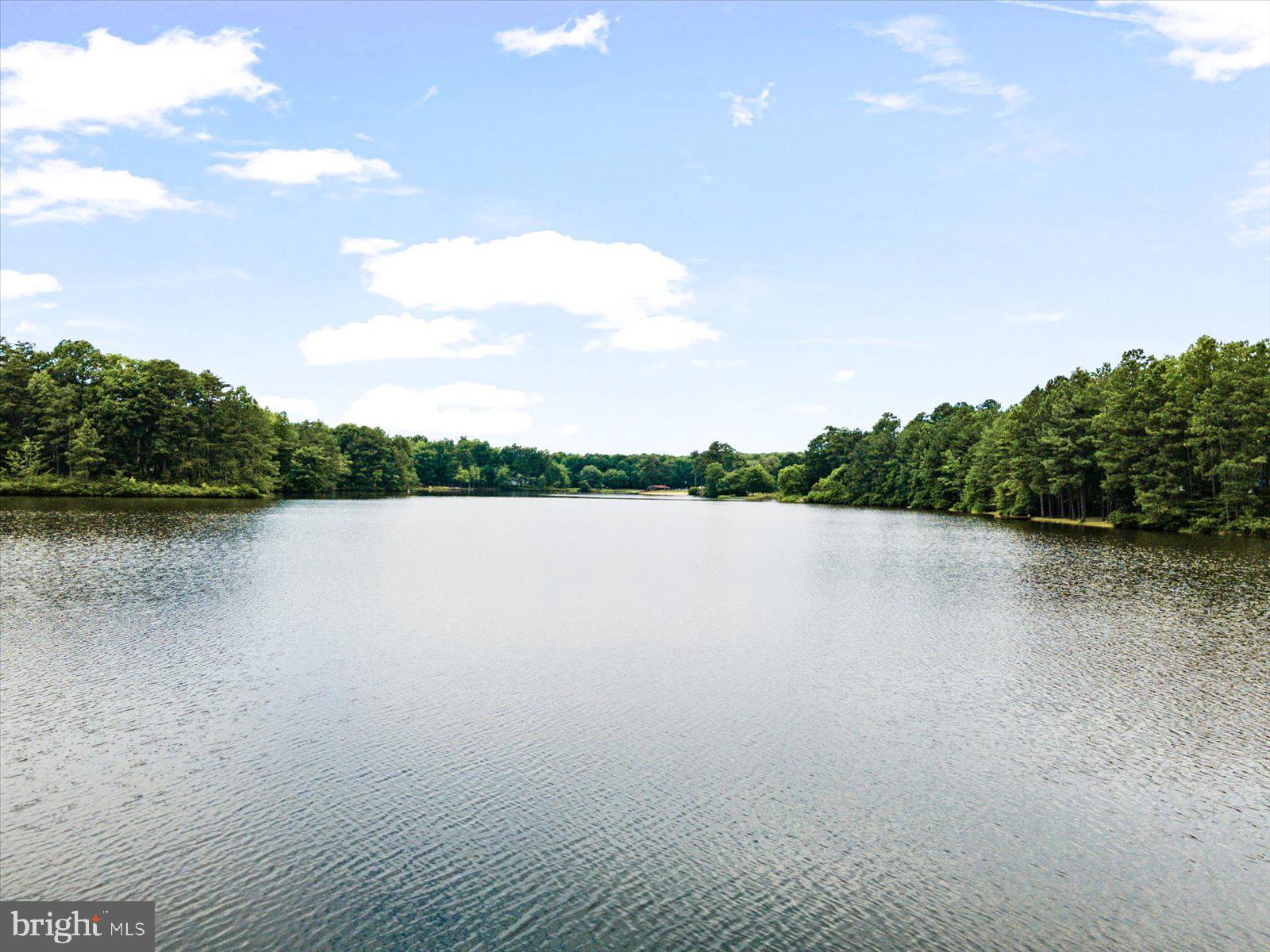 218 Victoria Drive Ruther Glen, VA 22546 - Photo 52 of 73 a view of lake