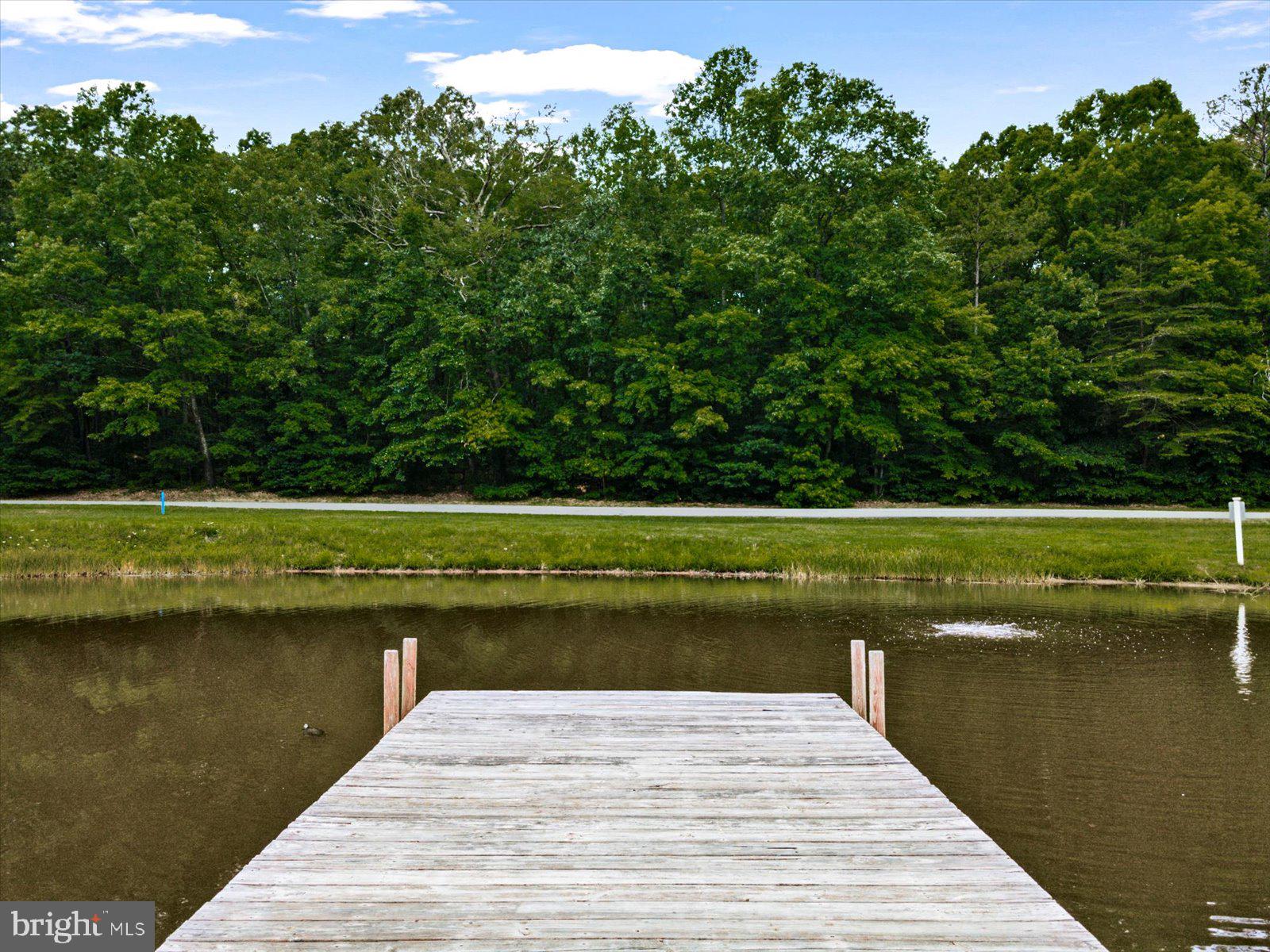 218 Victoria Drive Ruther Glen, VA 22546 - Photo 54 of 73 a view of a lake with a yard and large trees
