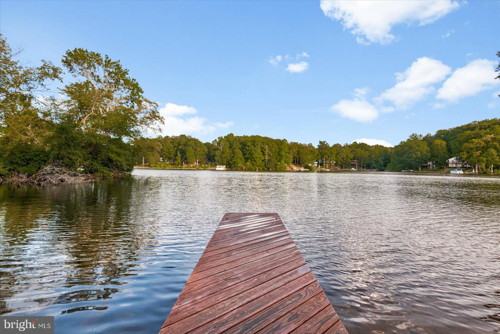 218 Victoria Drive Ruther Glen, VA 22546 - Photo 56 of 73 a wooden pier with boats in a lake