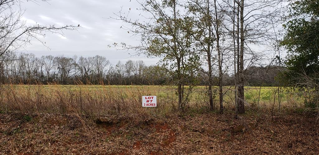 3-acres 3-acres Singletary Road Dothan, AL 36301 - Photo 1 of 1
