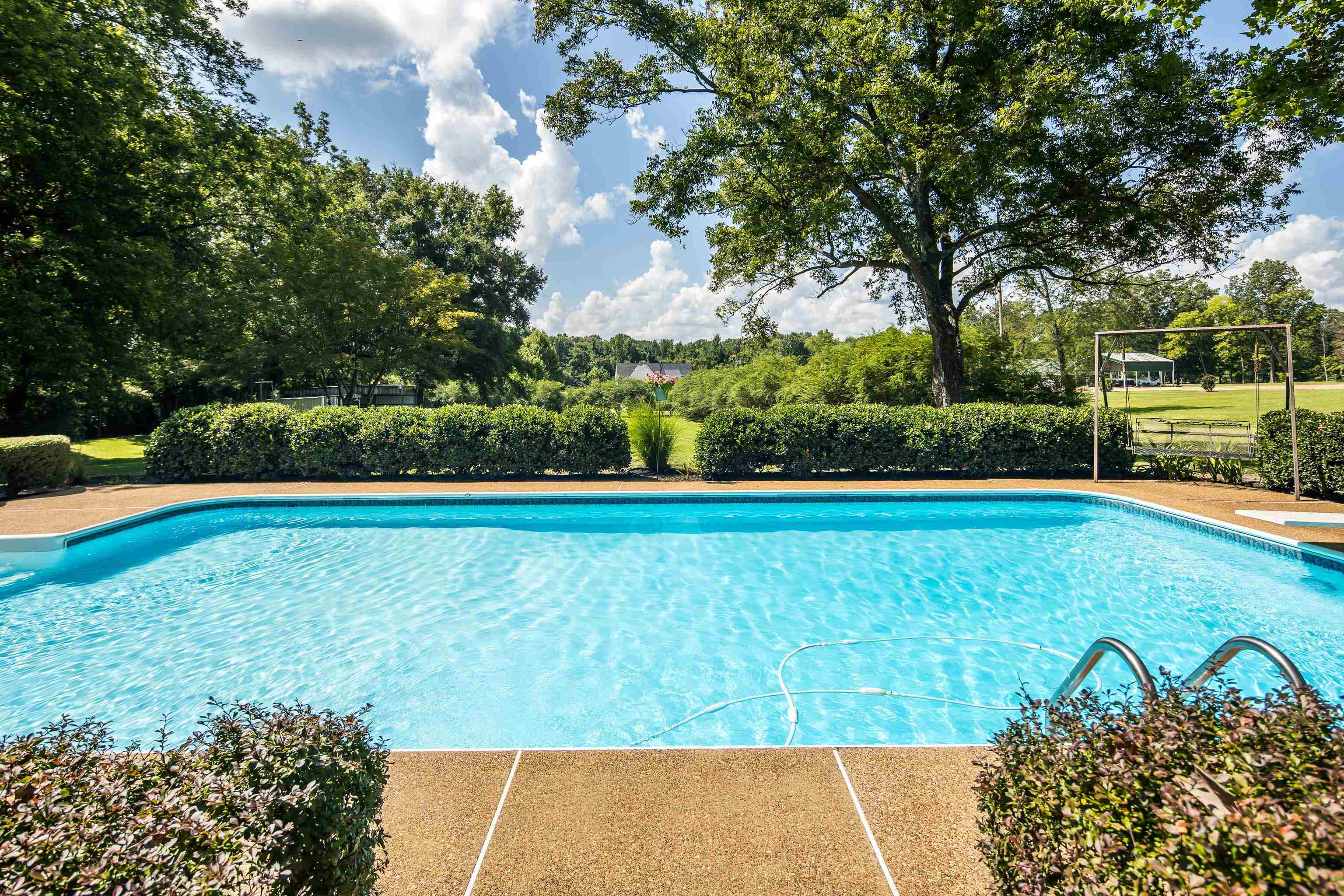 6125 Pleasant Ridge Road Millington, TN 38053 - Photo 6 of 40 a view of a garden