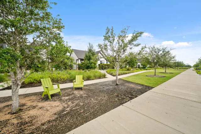 a view of a park with large trees
