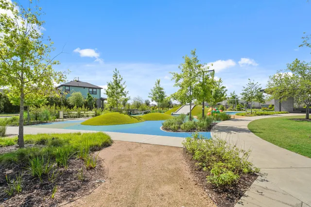 a view of a park with plants and trees