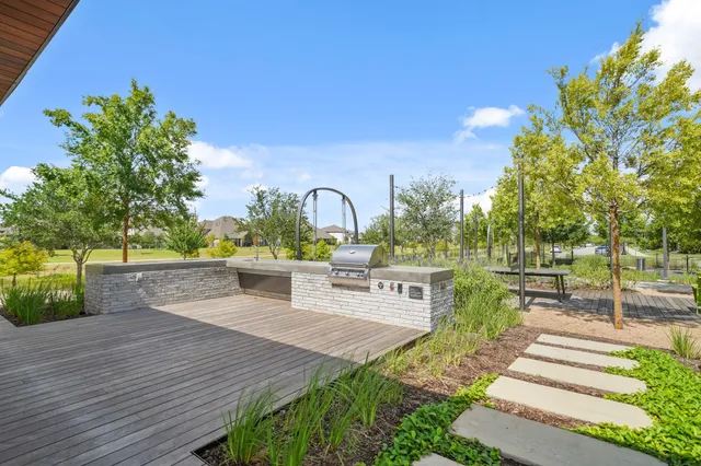 a view of a park with plants and trees