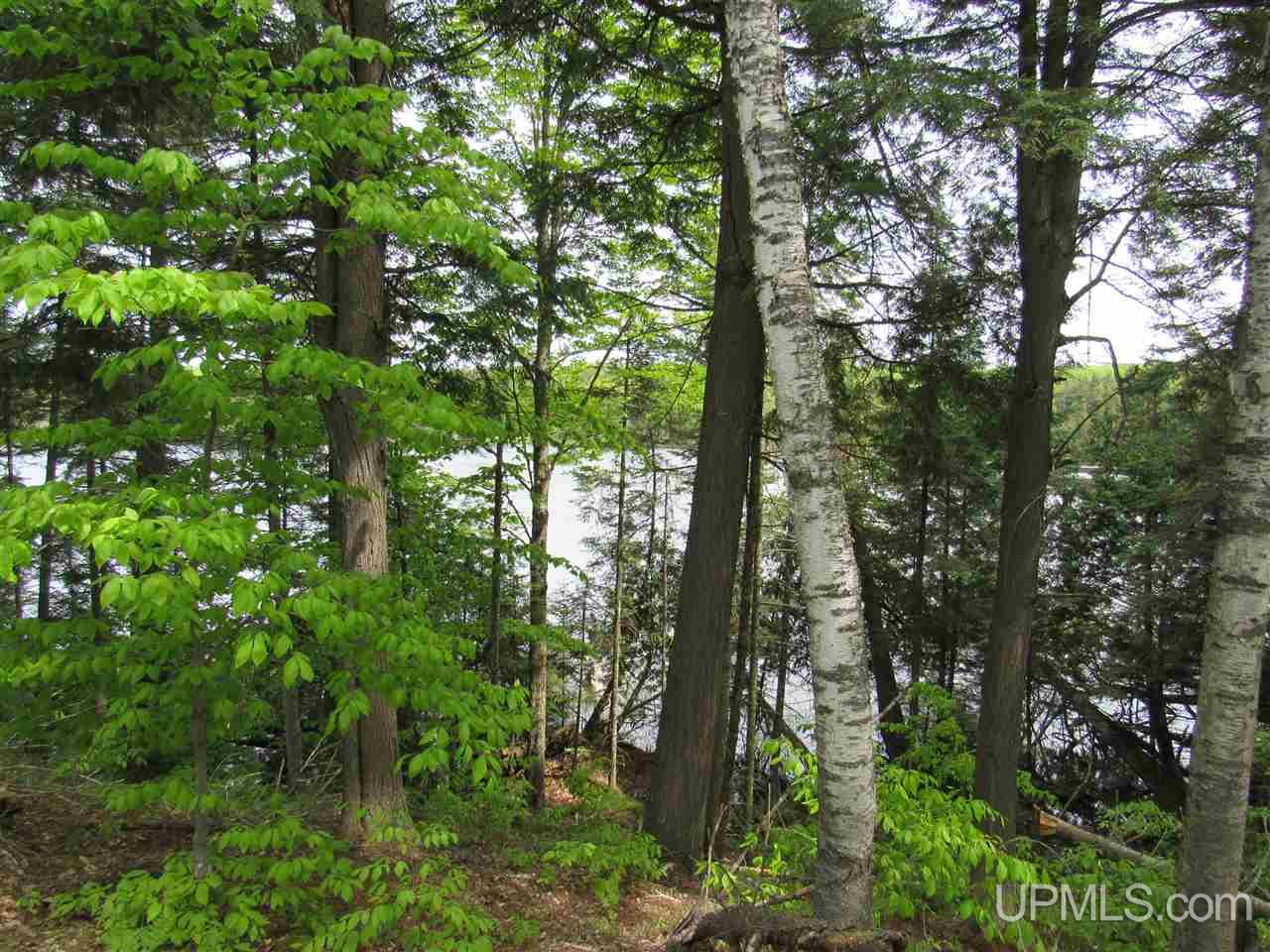 Tbd Co Rd 442, Unit 4 Rapid River, MI 49878 - Photo 5 of 10