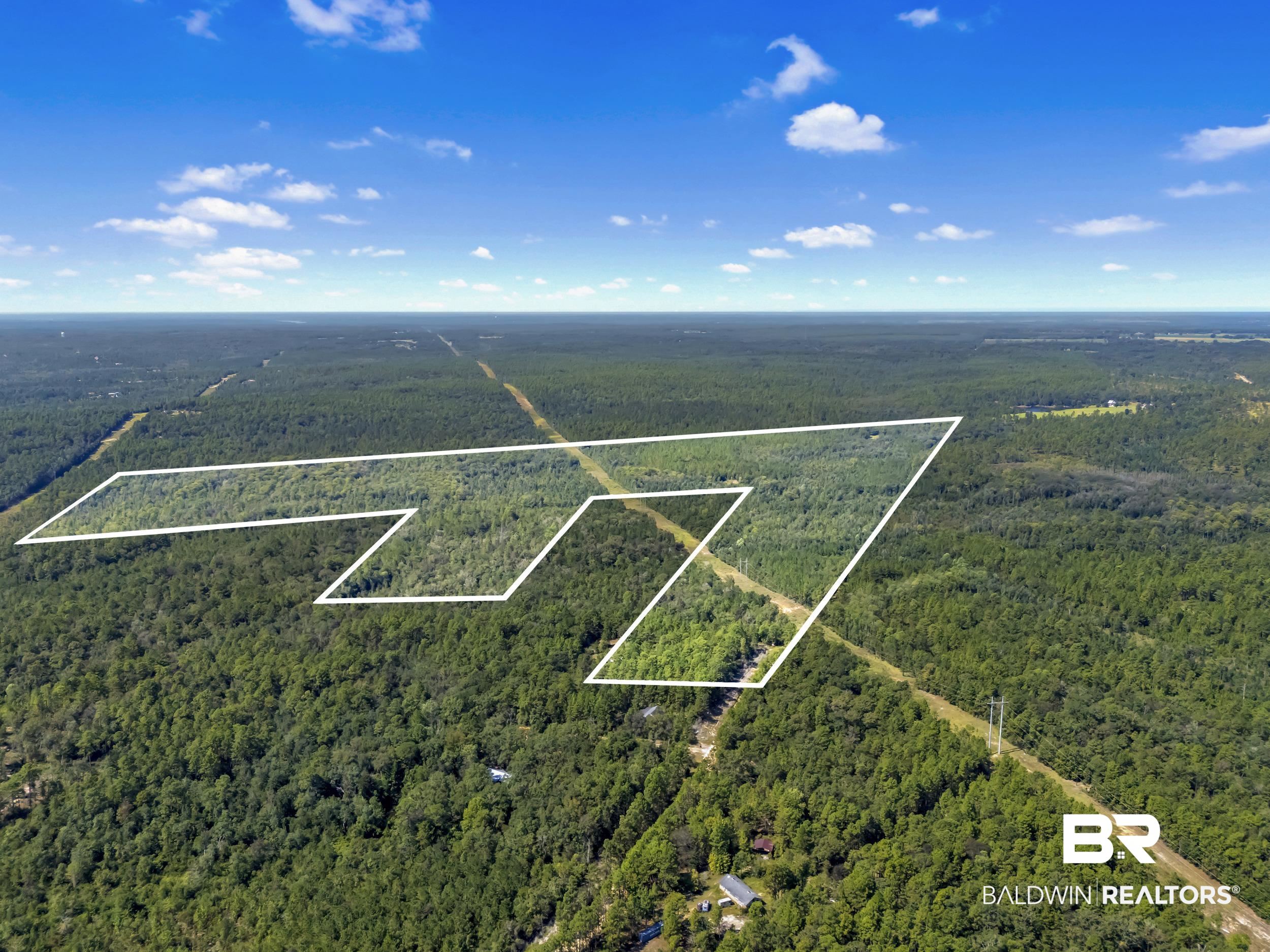 0 Arden Road Chunchula, AL 36521 - Photo 2 of 18 Aerial view of property's location with a forest and property boundaries highlighted
