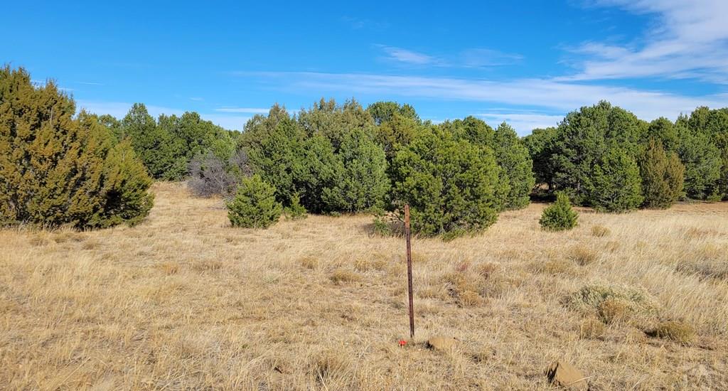 Lot 34 Silver Spur Road Walsenburg, CO 81089 - Photo 28 of 43