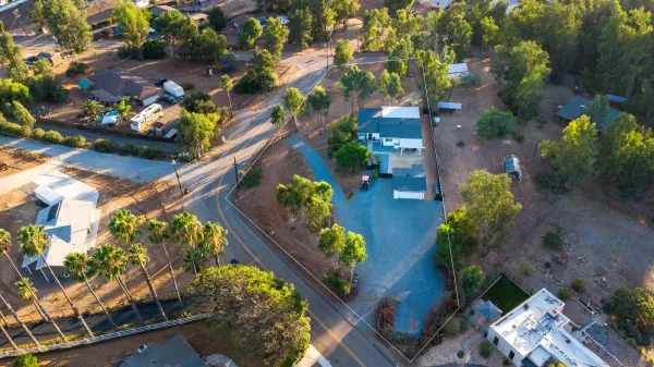 a view of a flower in a garden