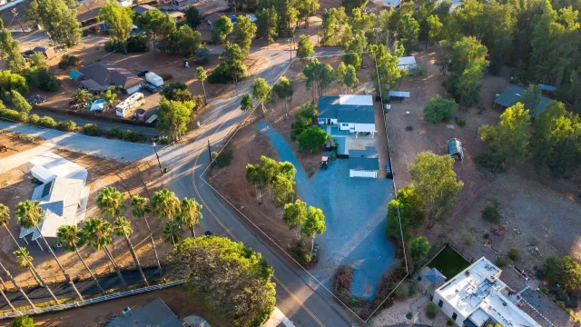 a view of a flower in a garden