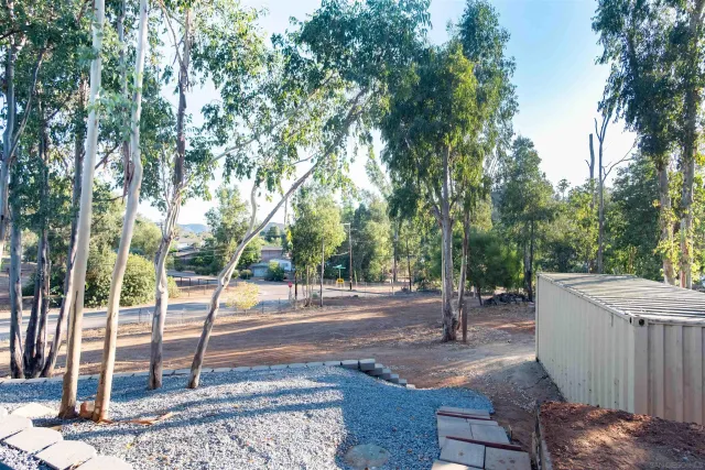 a view of a house with a yard plants and large tree