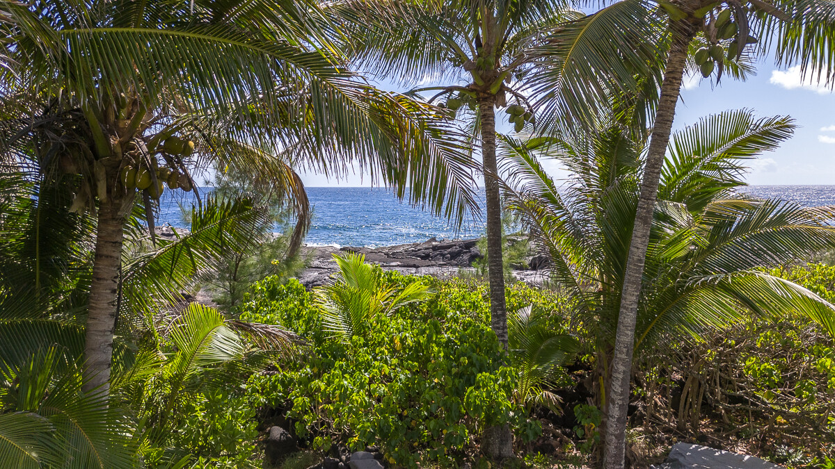 12-7811 Kalapana Kapoho Beach Road Pahoa, HI 96778 - Photo 8 of 26