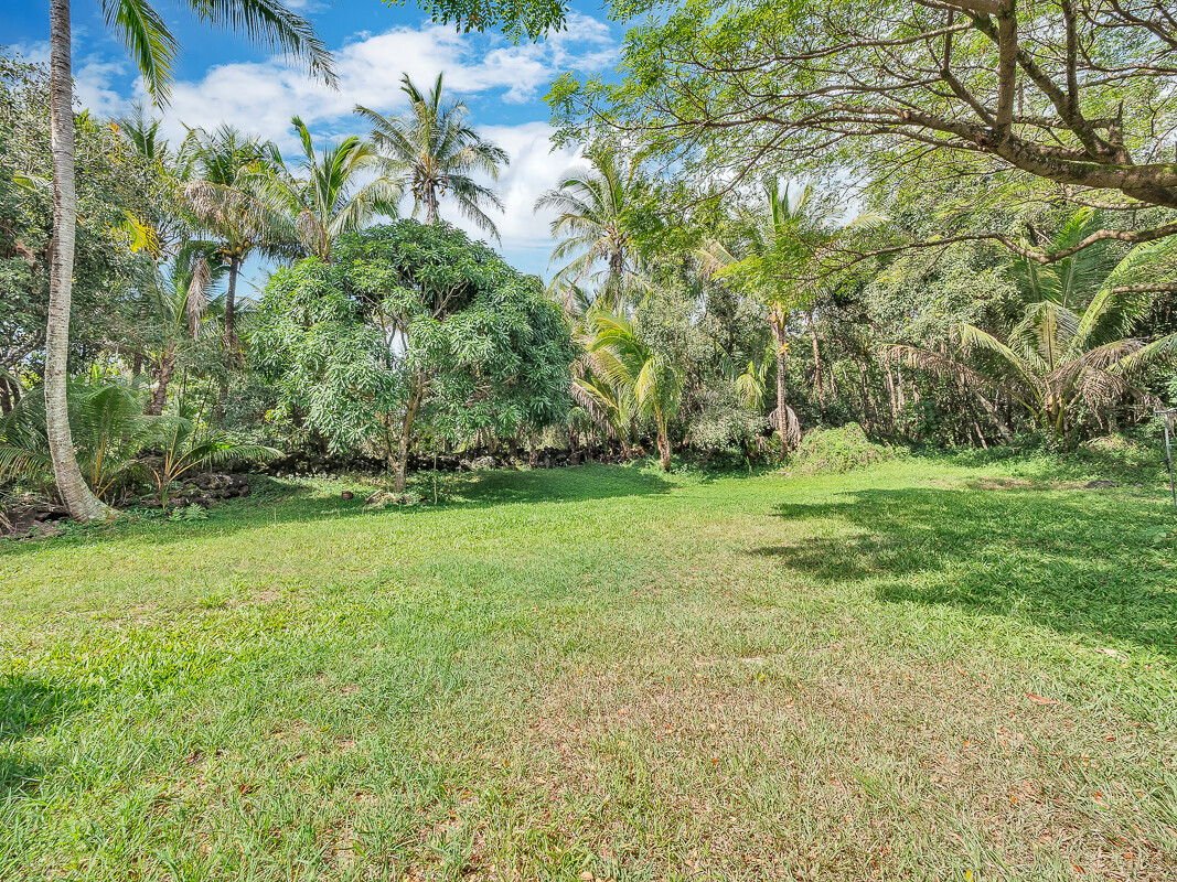 12-7811 Kalapana Kapoho Beach Road Pahoa, HI 96778 - Photo 9 of 26