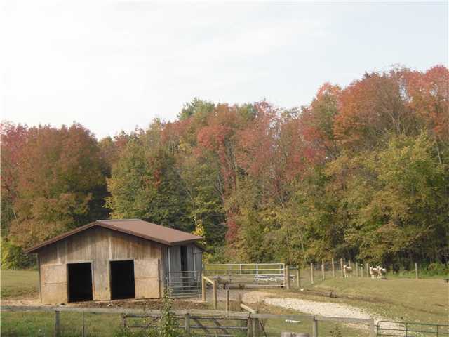7086 Simmons Church Rd Mount Centerburg, OH 43011 - Photo 9 of 13