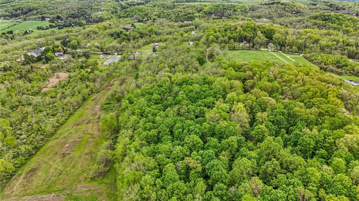 9380 Big Tree Road Richmond, NY 14466 - Photo 10 of 25