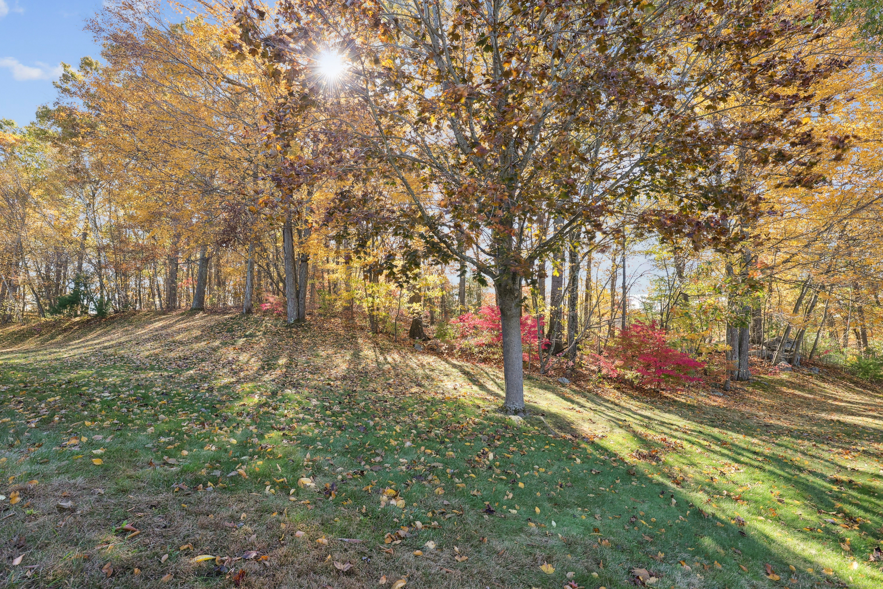 20 Wolf Hill Road, Unit 7H Wolcott, CT 06716 - Photo 31 of 39